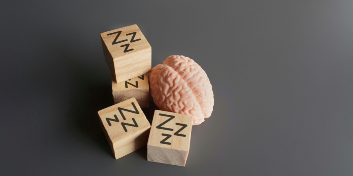 A photo of a brain model surrounded by four wooden blocks filled with letter Zzs on them.