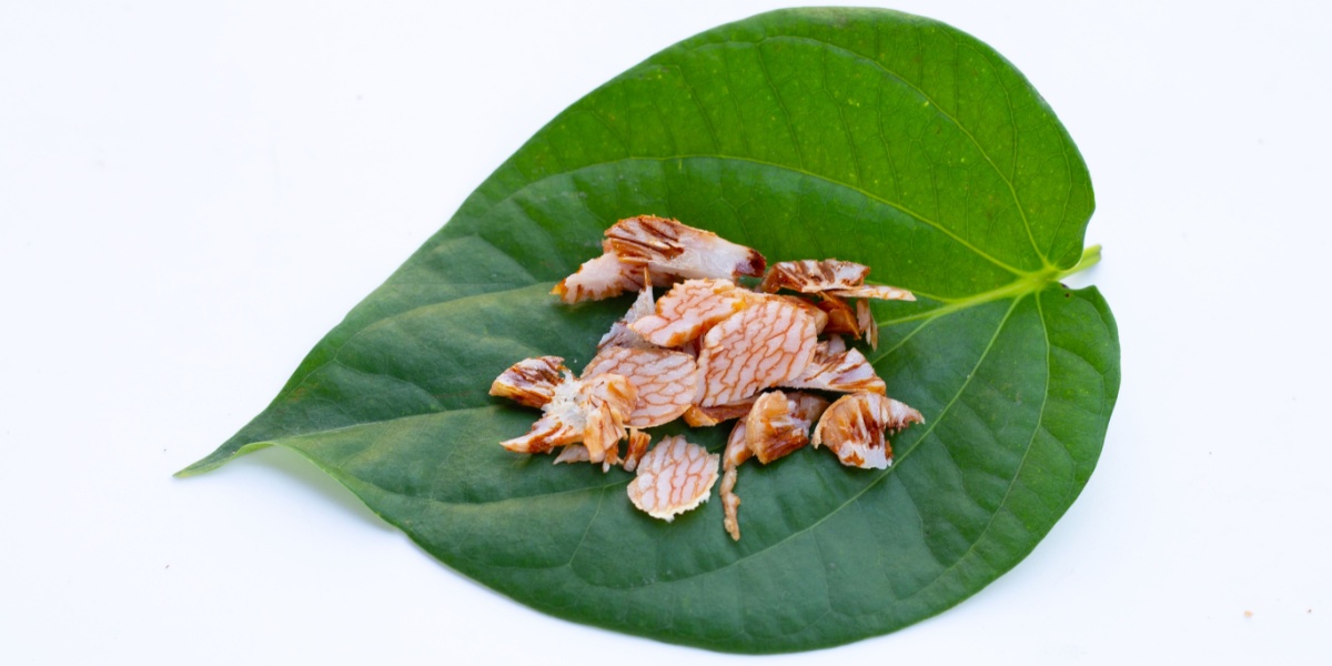 Betel Nut: Uses, Risks, & Addiction Potential