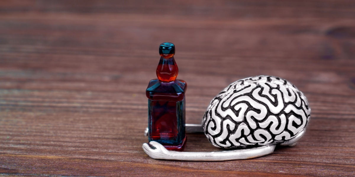 Brain Circuits Behind Alcohol Relapse: New Insights from the Latest Research