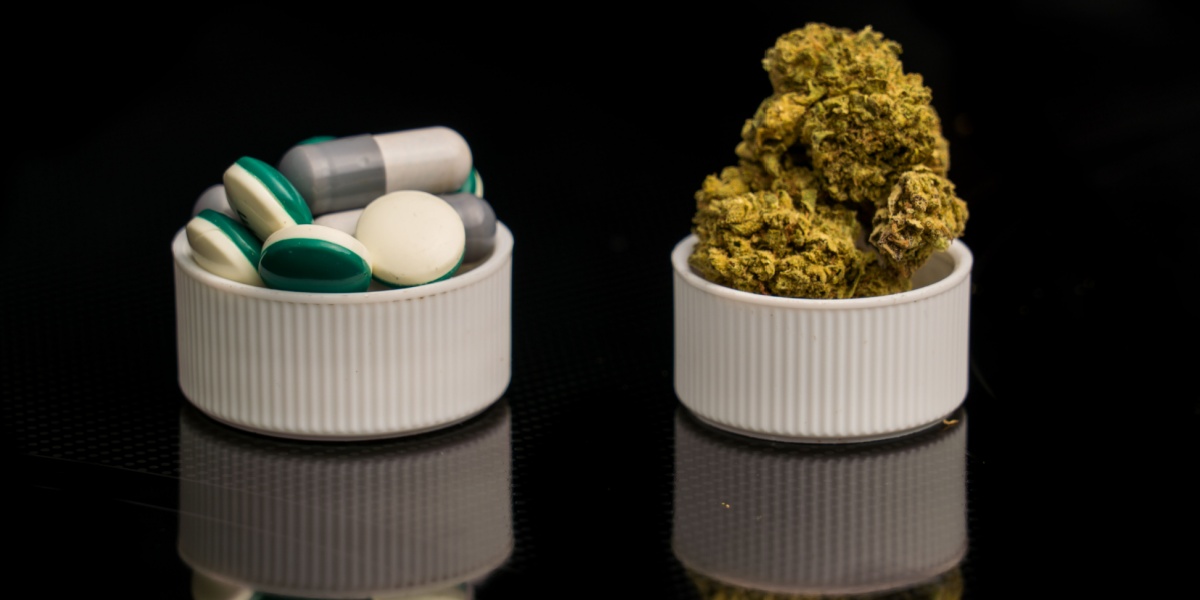 Cannabis Laws Linked to Lower Opioid Use in Cancer Patients