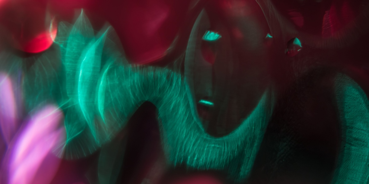 Ayahuasca Effects Duration, Purging, and Safety Concerns