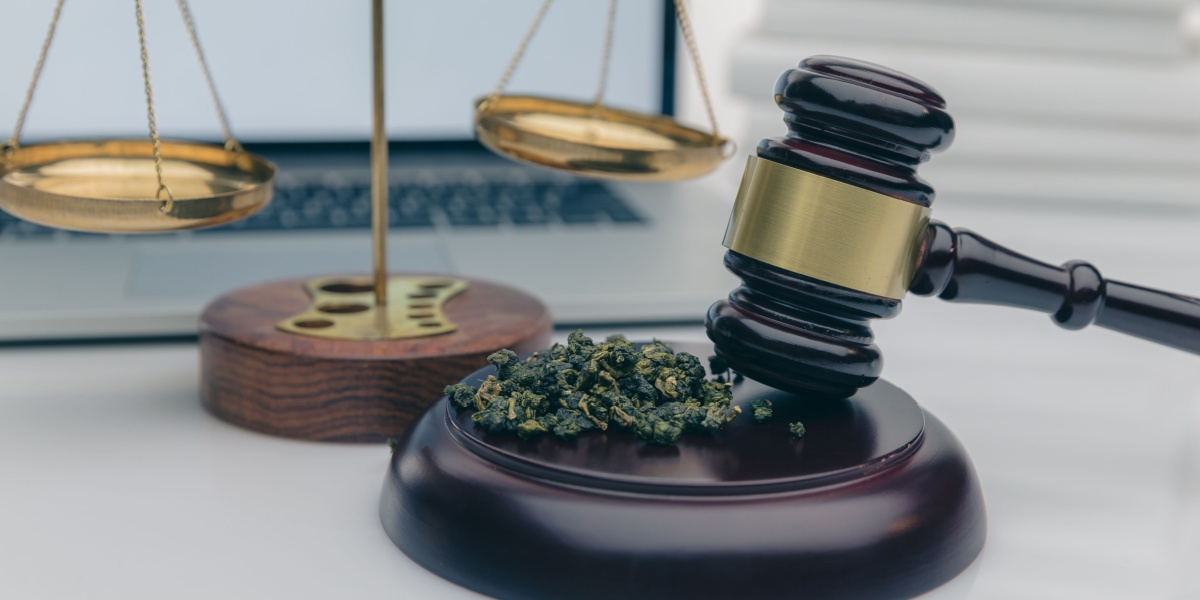 Cannabis Rescheduling: Impacts on Recovery and Access