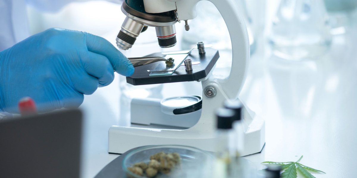 THCH Cannabinoid: Effects and Risks