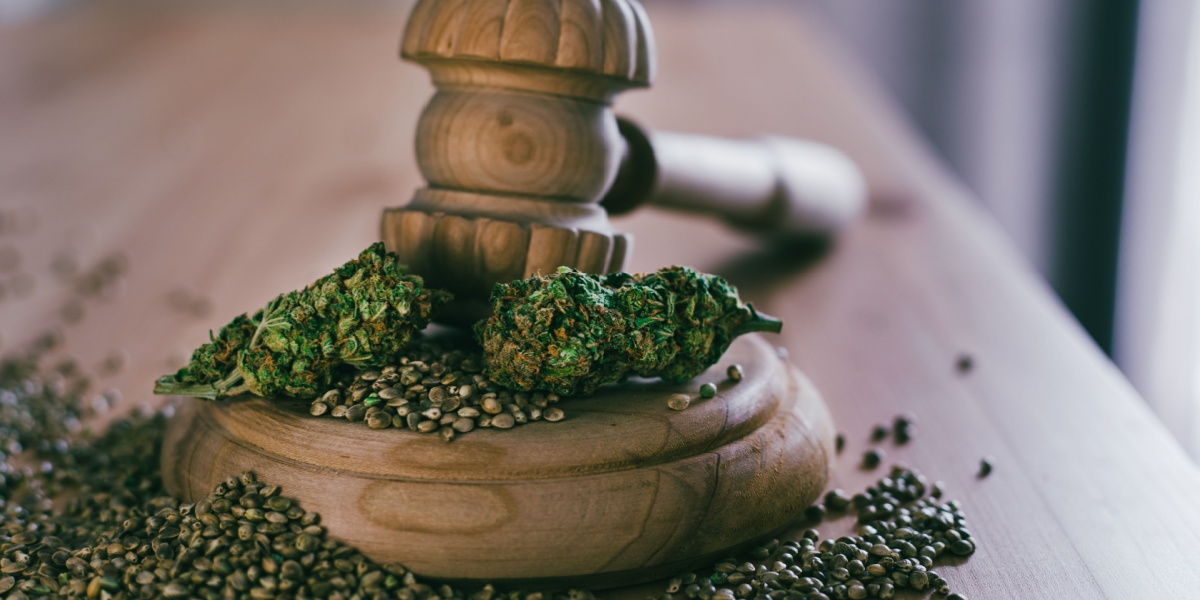 Federal Hemp Ban Updates: Legal Changes, Timelines, and Risks