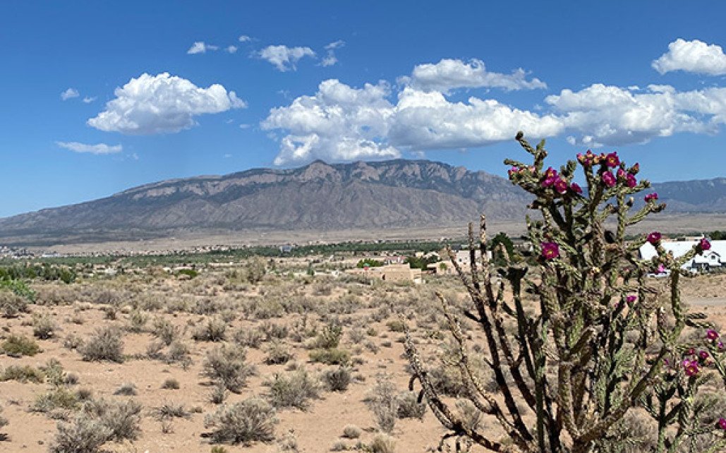 Anchor Behavioral Health – Albuquerque