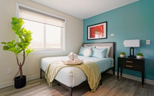 The Haven Detox - New Jersey