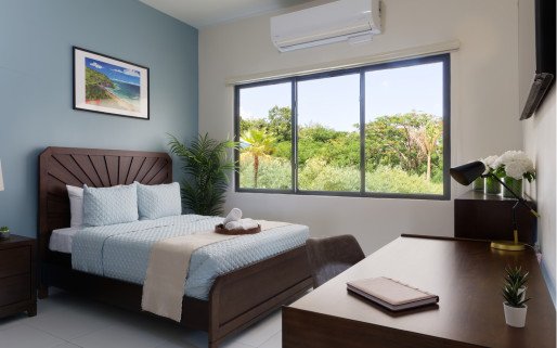 The Haven Detox - Puerto Rico