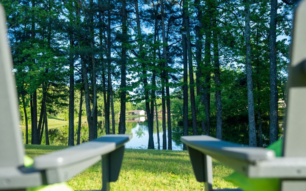 The Haven Detox - Little Rock