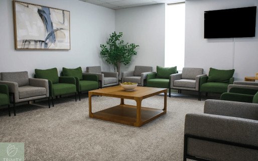 The Trinity Wellness Group